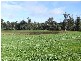 2783 Upper Capel Rd, Donnybrook WA 6239