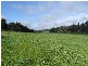 2783 Upper Capel Rd, Donnybrook WA 6239