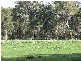 2783 Upper Capel Rd, Donnybrook WA 6239