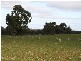 4512 Dardadine Rd, Williams WA 6391
