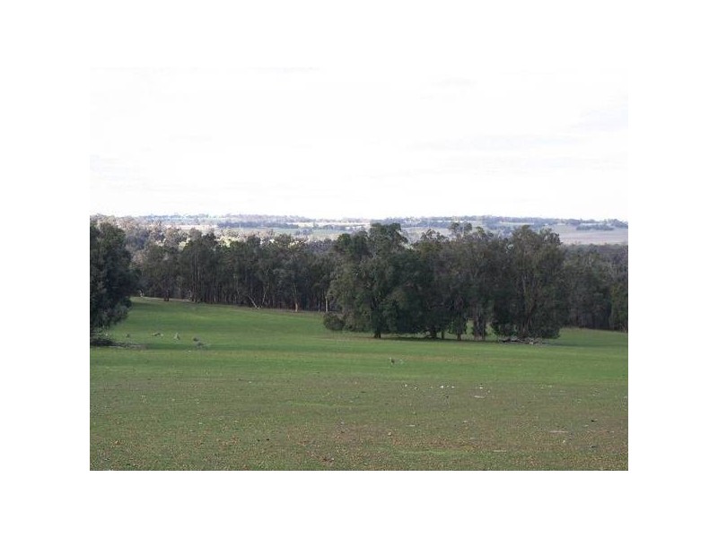 4512 Dardadine Rd, Williams WA 6391