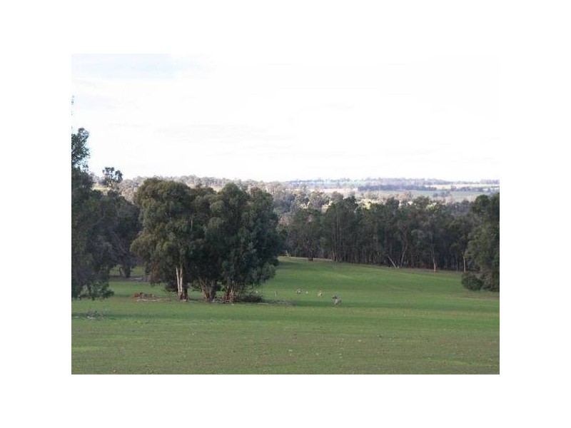 4512 Dardadine Rd, Williams WA 6391