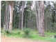 Lot 104,  Victoria pde, Donnybrook WA 6239
