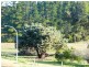 Lot 104,  Victoria pde, Donnybrook WA 6239