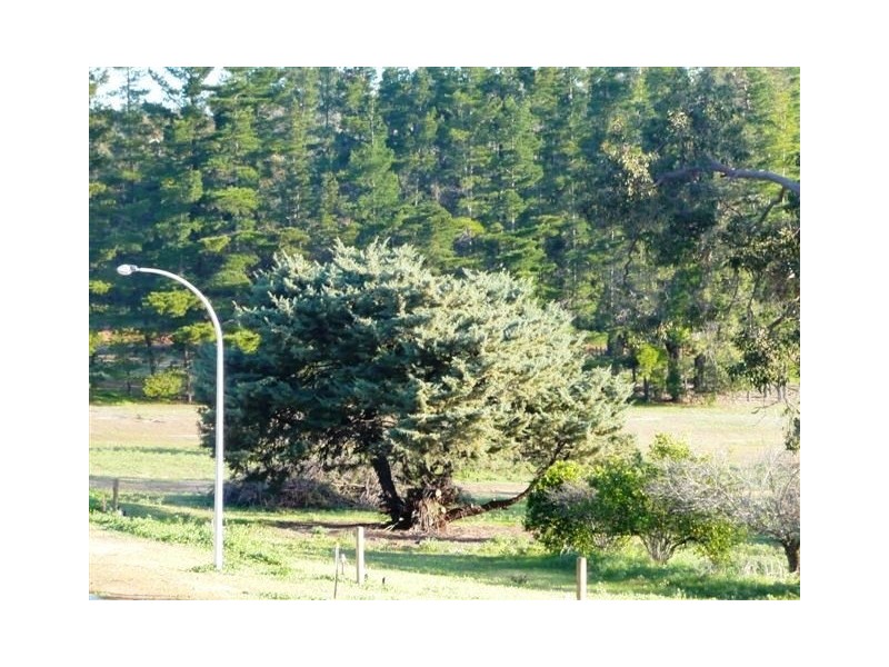 Lot 104,  Victoria pde, Donnybrook WA 6239
