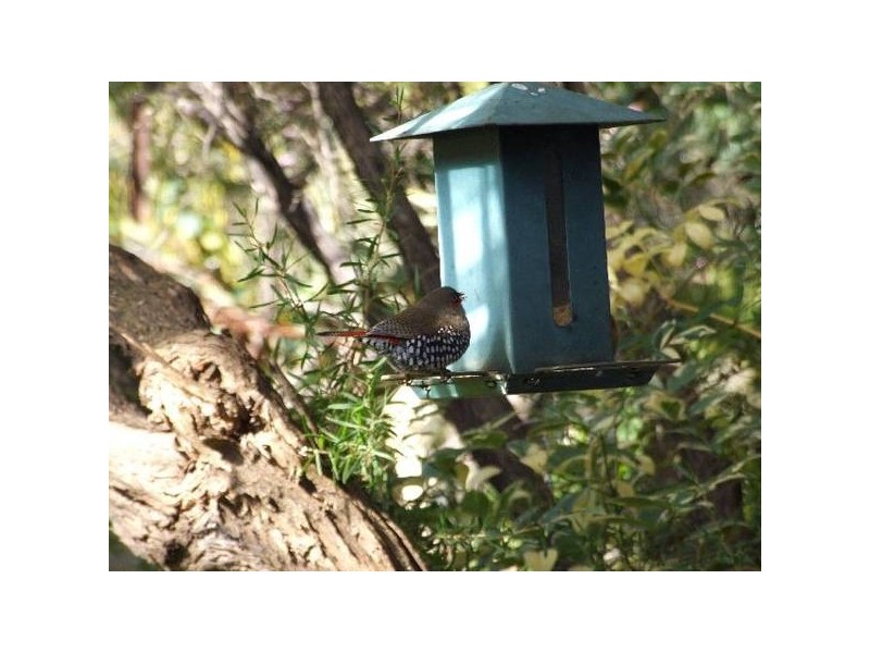 140 Bowman Rd, Donnybrook WA 6239