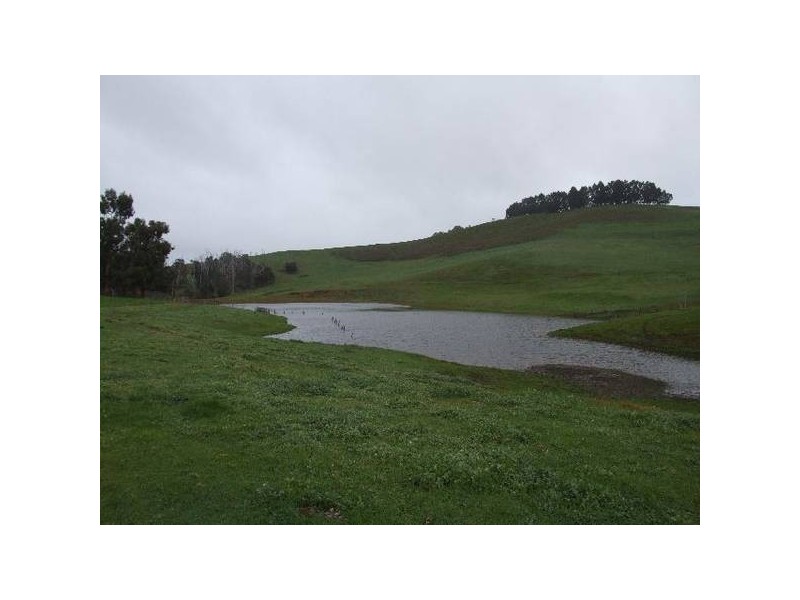 154 Thomson Brook Road, Thomson Brook WA 6239