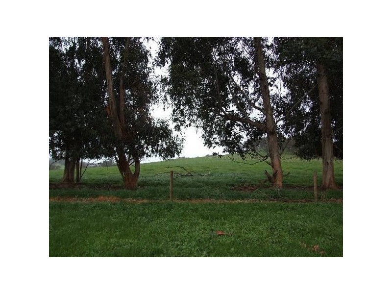 154 Thomson Brook Road, Thomson Brook WA 6239