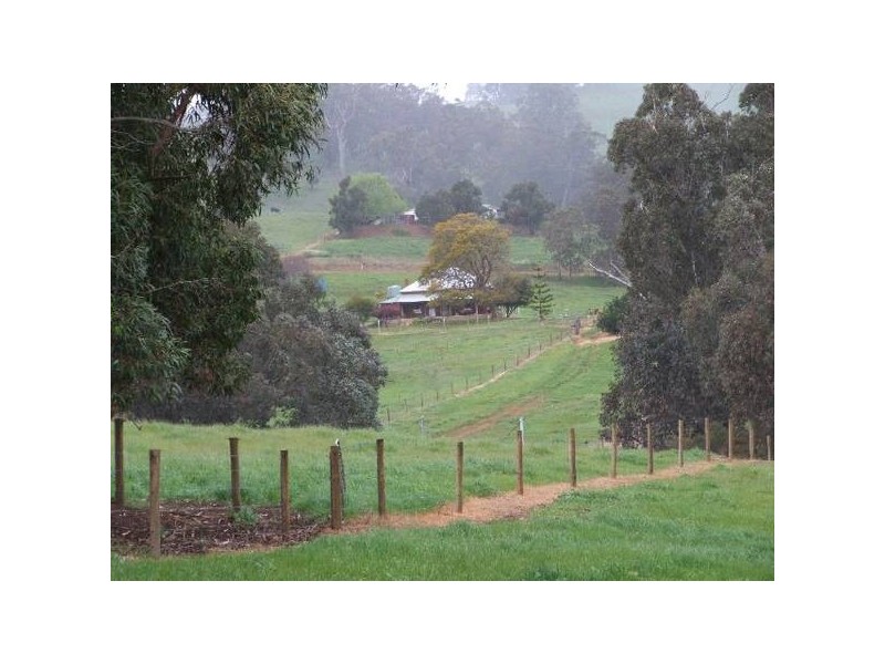 154 Thomson Brook Road, Thomson Brook WA 6239