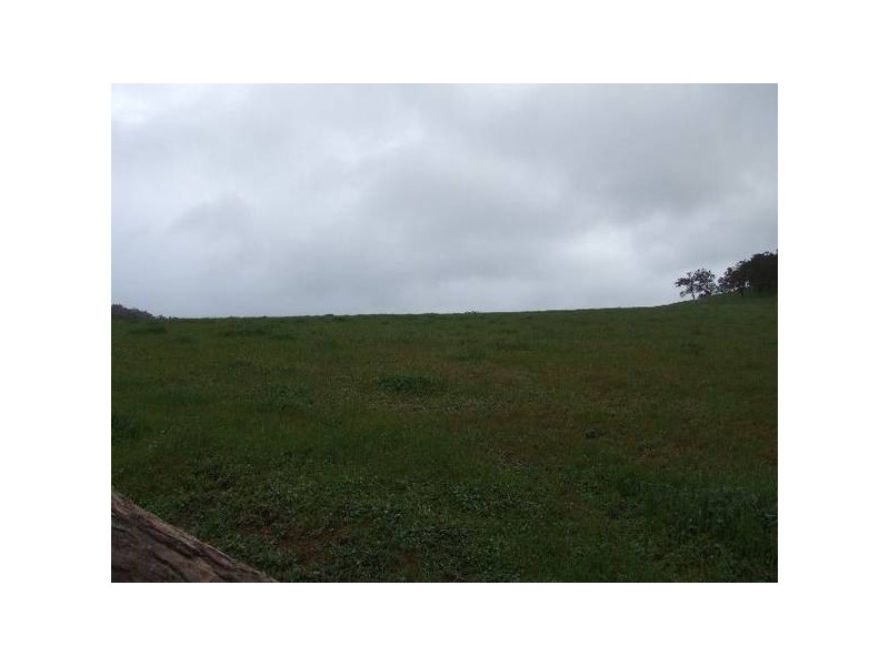 154 Thomson Brook Road, Thomson Brook WA 6239