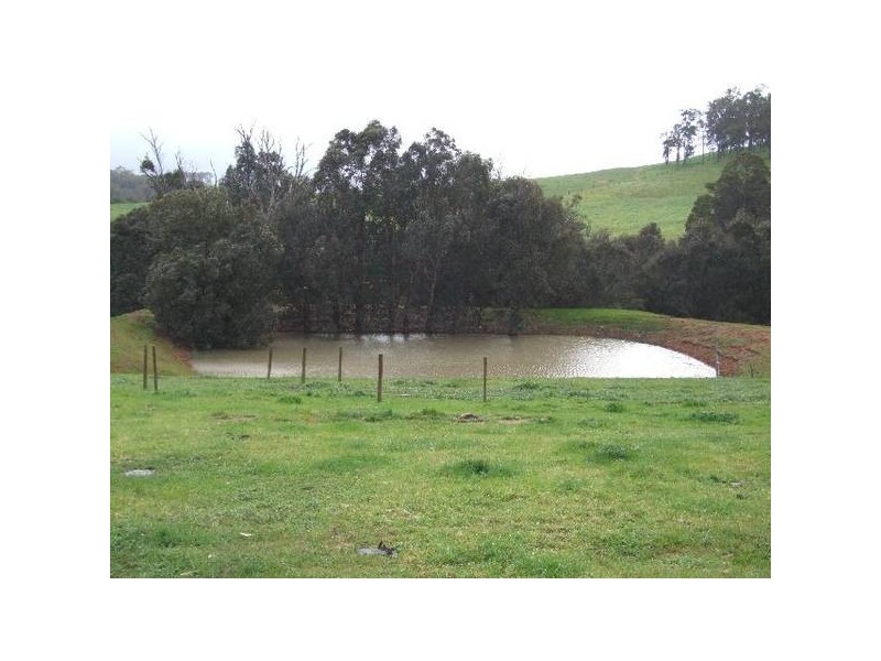 154 Thomson Brook Road, Thomson Brook WA 6239