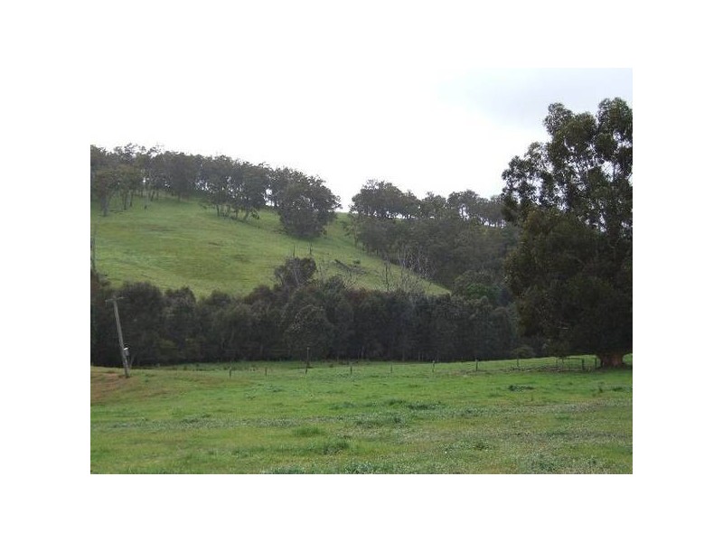 154 Thomson Brook Road, Thomson Brook WA 6239