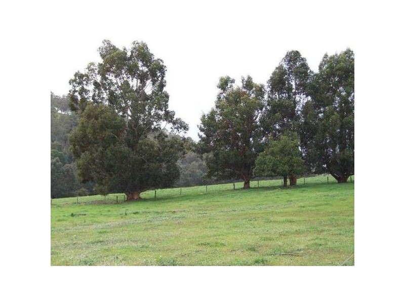 154 Thomson Brook Road, Thomson Brook WA 6239