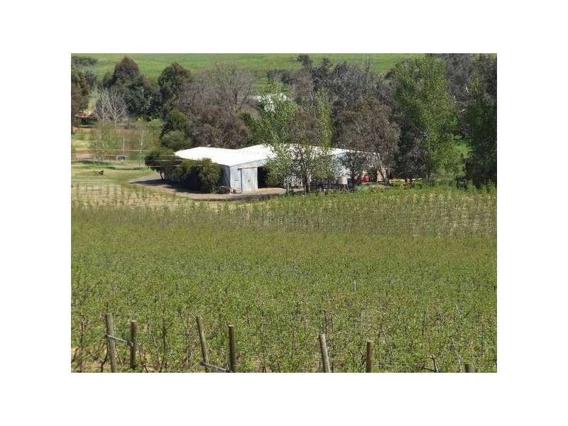 5 & 334 Airstrip, Balingup WA 6253