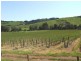 5 & 334 Airstrip, Balingup WA 6253