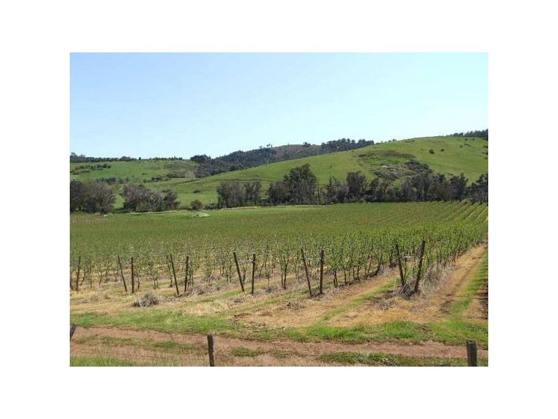 5 & 334 Airstrip, Balingup WA 6253