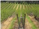 5 & 334 Airstrip, Balingup WA 6253