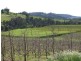 5 & 334 Airstrip, Balingup WA 6253
