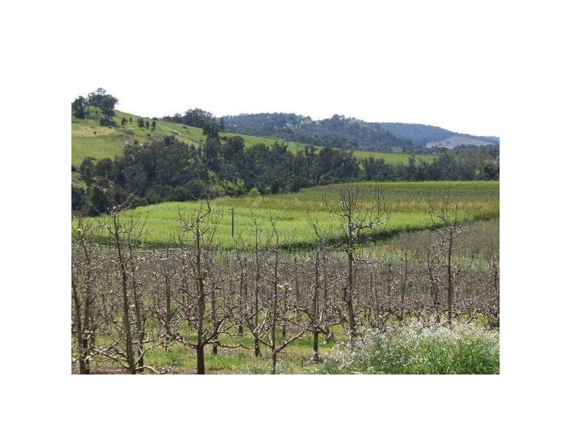 5 & 334 Airstrip, Balingup WA 6253