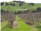 5 & 334 Airstrip, Balingup WA 6253