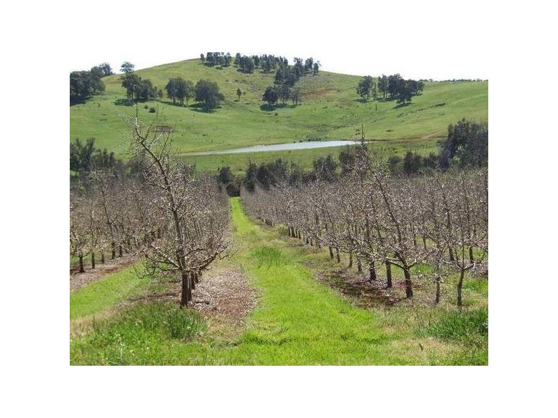 5 & 334 Airstrip, Balingup WA 6253