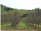 5 & 334 Airstrip, Balingup WA 6253