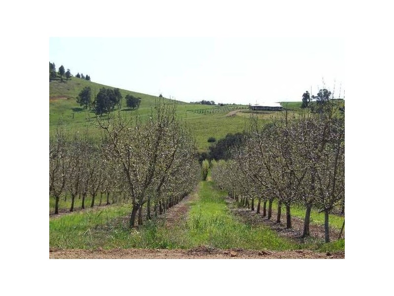 5 & 334 Airstrip, Balingup WA 6253