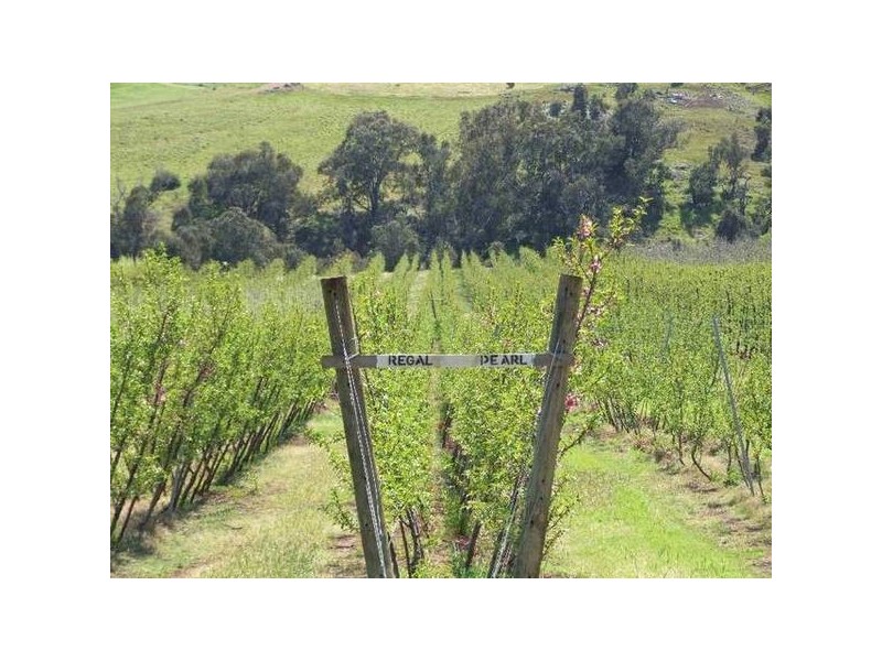 5 & 334 Airstrip, Balingup WA 6253
