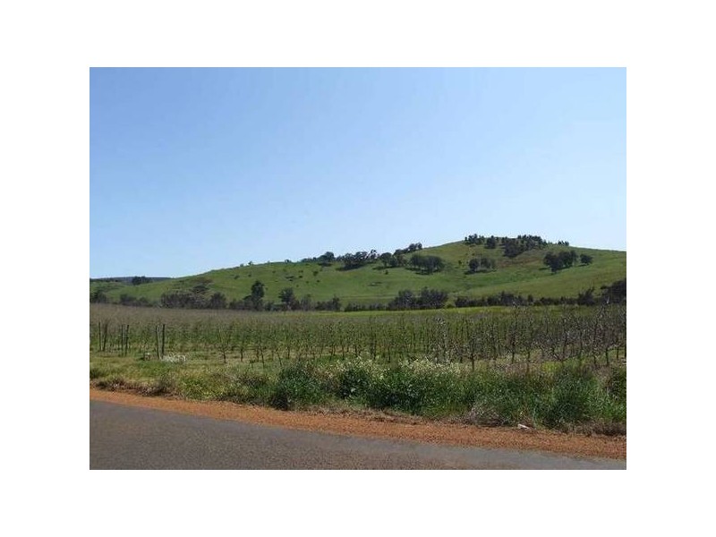 5 & 334 Airstrip, Balingup WA 6253