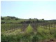 5 & 334 Airstrip, Balingup WA 6253