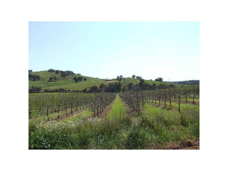 5 & 334 Airstrip, Balingup WA 6253