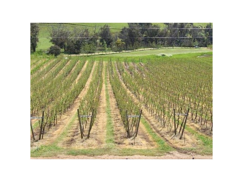 5 & 334 Airstrip, Balingup WA 6253