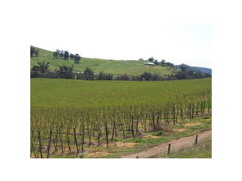 5 & 334 Airstrip, Balingup WA 6253