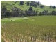 5 & 334 Airstrip, Balingup WA 6253