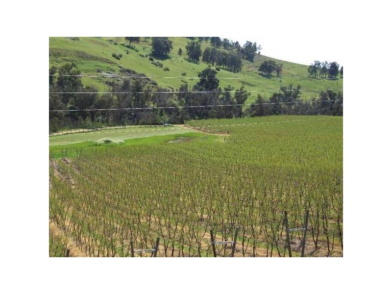 5 & 334 Airstrip, Balingup WA 6253
