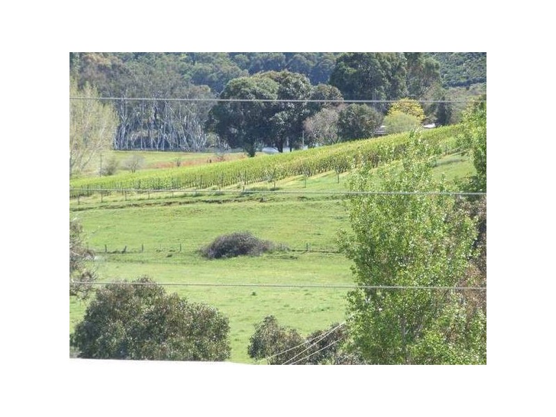 5 & 334 Airstrip, Balingup WA 6253