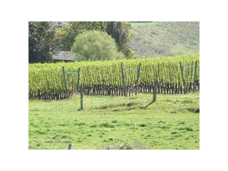 5 & 334 Airstrip, Balingup WA 6253