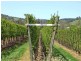 5 & 334 Airstrip, Balingup WA 6253