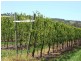 5 & 334 Airstrip, Balingup WA 6253