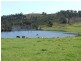 5 & 334 Airstrip, Balingup WA 6253