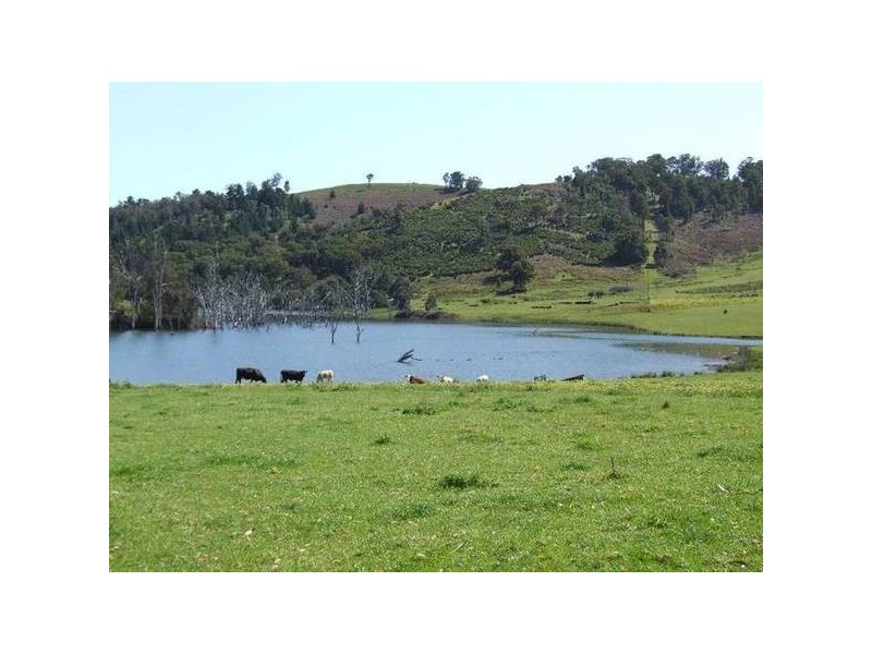 5 & 334 Airstrip, Balingup WA 6253