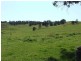 5 & 334 Airstrip, Balingup WA 6253