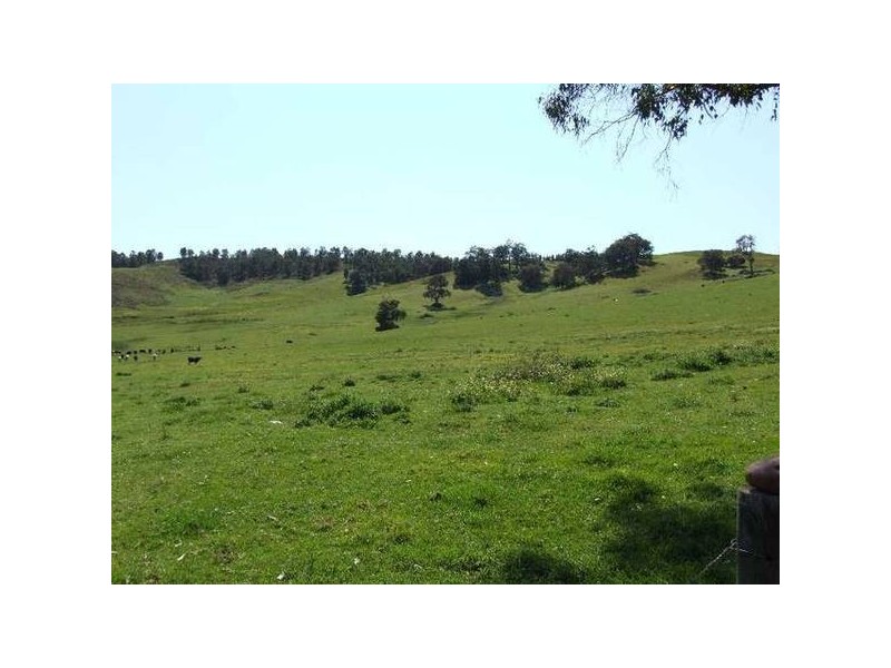 5 & 334 Airstrip, Balingup WA 6253