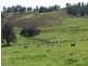 5 & 334 Airstrip, Balingup WA 6253