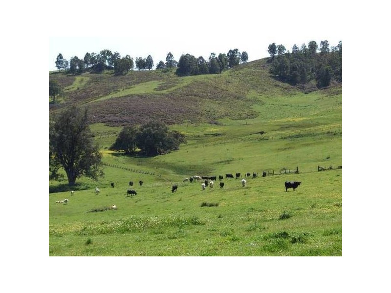5 & 334 Airstrip, Balingup WA 6253