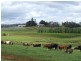 Lot 606, Hawterville Road, Mullalyup WA 6252