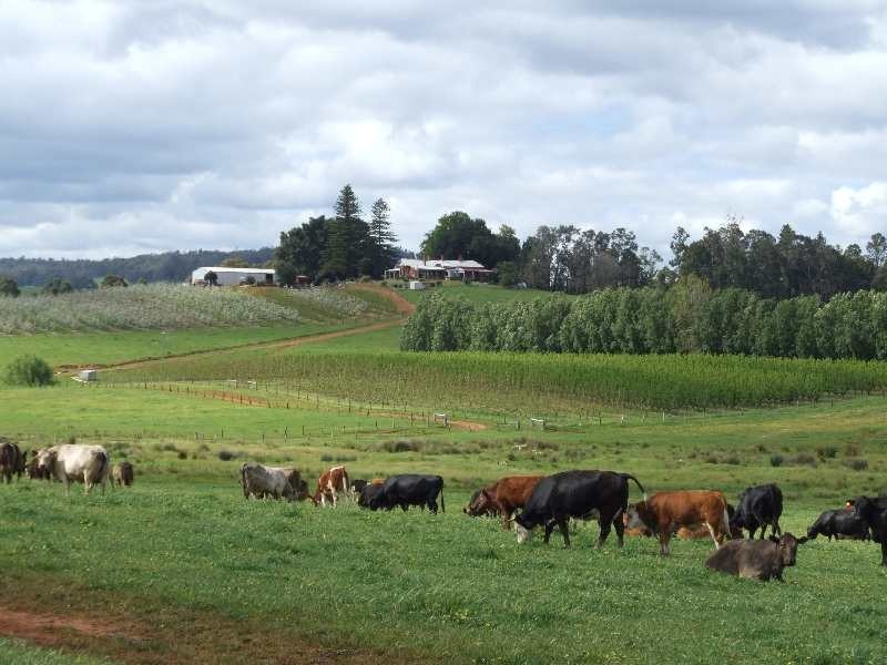Lot 606, Hawterville Road, Mullalyup WA 6252