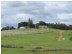 Lot 606, Hawterville Road, Mullalyup WA 6252