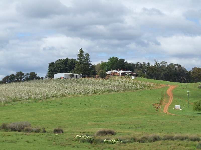Lot 606, Hawterville Road, Mullalyup WA 6252