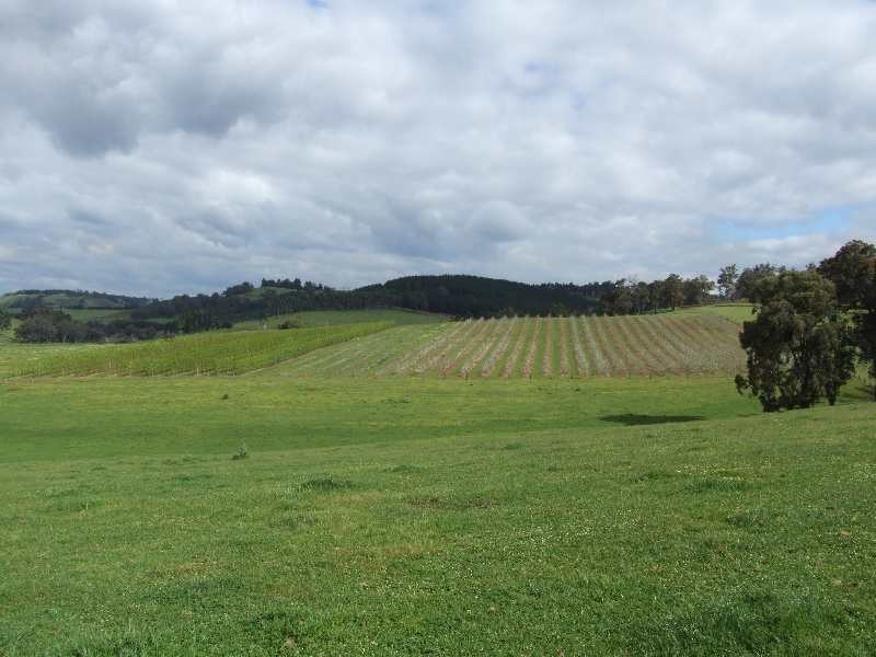 Lot 606, Hawterville Road, Mullalyup WA 6252